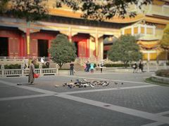 -高旻寺