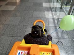 -武汉荟聚