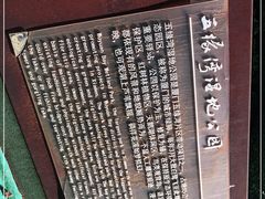 -五缘湾湿地公园