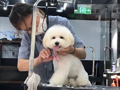 -宠物家(角门东店)