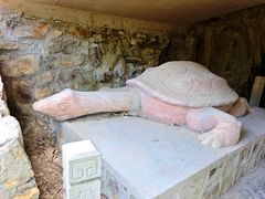 -上海佘山国家森林公园天马山园