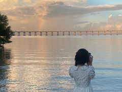 -宝安西湾红树林湿地公园