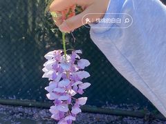-天宫南铂玫瑰园酒店