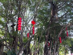 -船政文化景区-罗星塔公园