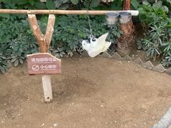 -南宫五洲植物乐园