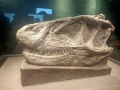 -自贡恐龙博物馆