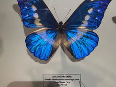 -吉林省自然博物馆