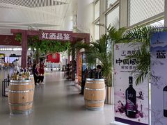 -银川河东国际机场