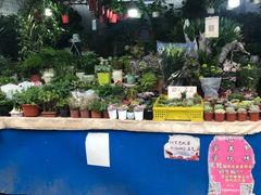 -大学城夜市大排档(凤栖路店)