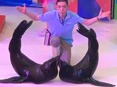 -成都浩海立方海洋公园