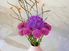 -双季花艺园艺市场(浦东店)