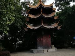 -仙岳公园