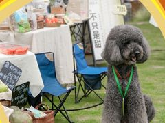 -上海长风大悦城