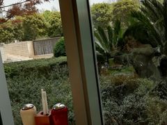 -上海静安香格里拉大酒店