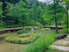 -云溪植物园