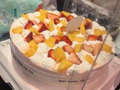 -维尔纳斯·生日蛋糕动物奶油冰淇淋蛋糕(人大店)