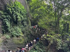 -青城山