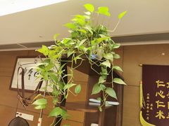 -上康中医脊椎理疗馆