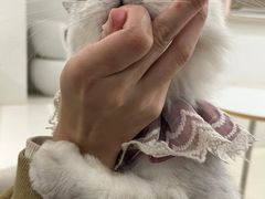 -怪兽屋·羊驼·猫咖·狗咖(俊华广场店)