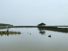 -南大港湿地风景区