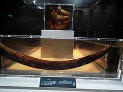 -金沙遗址博物馆