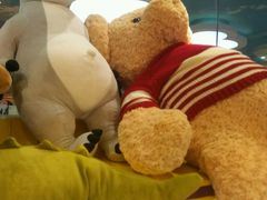 -PAWTOY爪e玩偶店(天兴罗斯福店)