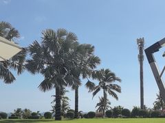-三亚亚龙湾瑞吉酒店·宴悦Driftwood·游水海鲜·牛排·草坪·私人定制