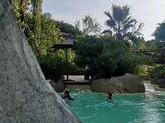 -杭州开元森泊度假乐园