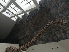 -中华赏石园