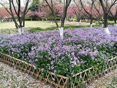 -白塘生态植物园