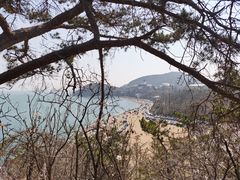 -棒棰岛宾馆景区