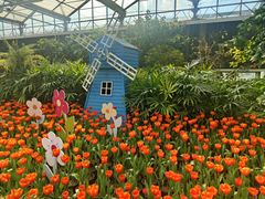 -南宫五洲植物乐园