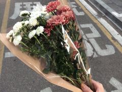 -溪岸路花鸟市场