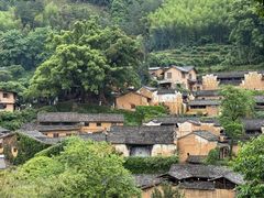 -杨家堂村