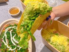 -油梨树AVOCADO TREE(嘉里中心店)