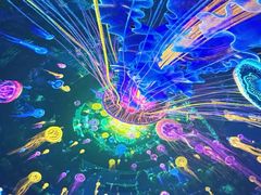 -泉城欧乐堡海洋极地世界