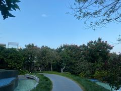 -瑰丽酒店·海吧·天际下午茶·现场DJ·天台酒吧