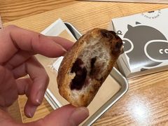-WHEN PIGS FLY当猪飞