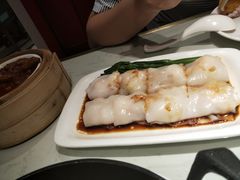 -南枝记