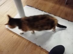 -同济大学本部学苑饮食广场