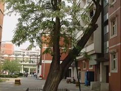-天津市第二中学