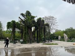-石家庄市植物园