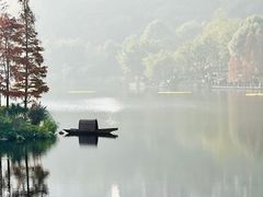 -重庆彩云湖湿地公园