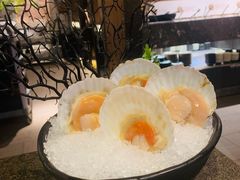 扇贝-湊湊火锅·茶憩(和平大悦城店)