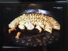 锅饺-向群锅饺(登高路店)