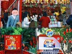 -越秀西湖花市(广州城市广场花卉店)