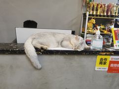 -AK健身普拉提拉伸私教馆(中八店)