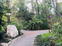 -成都市活水公园