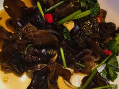 -胡桃里乐队酒馆(广州塔店)