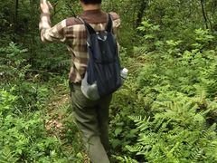 -杭州半山国家森林公园